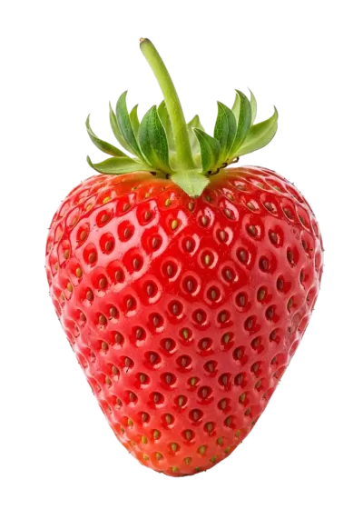 Imagen PNG para descargar